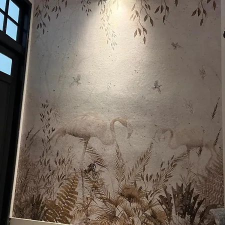 Apartamento Boutique Old 5 *