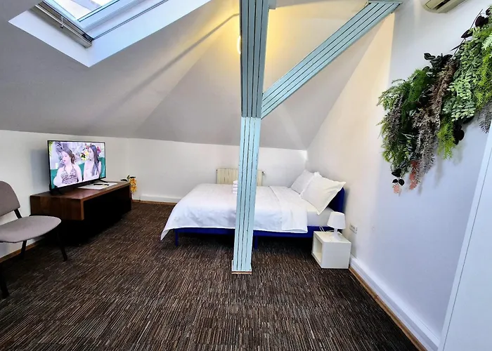 Apartamento Boutique Old 5 *