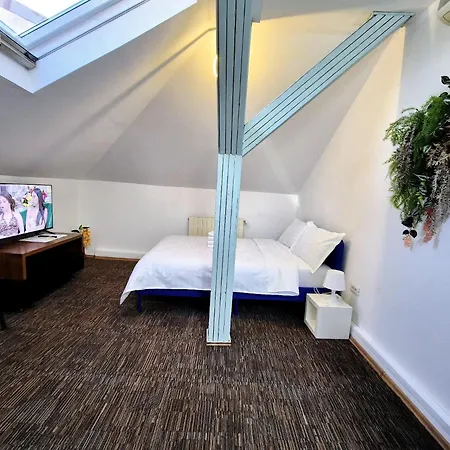 Appartement Boutique Old 5 *